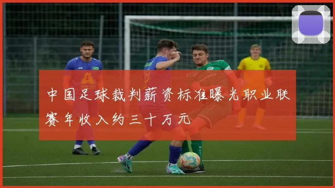 中国足球裁判薪资标准曝光职业联赛年收入约三十万元