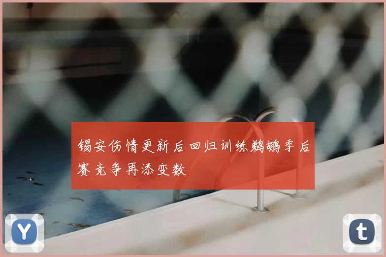 锡安伤情更新后回归训练鹈鹕季后赛竞争再添变数