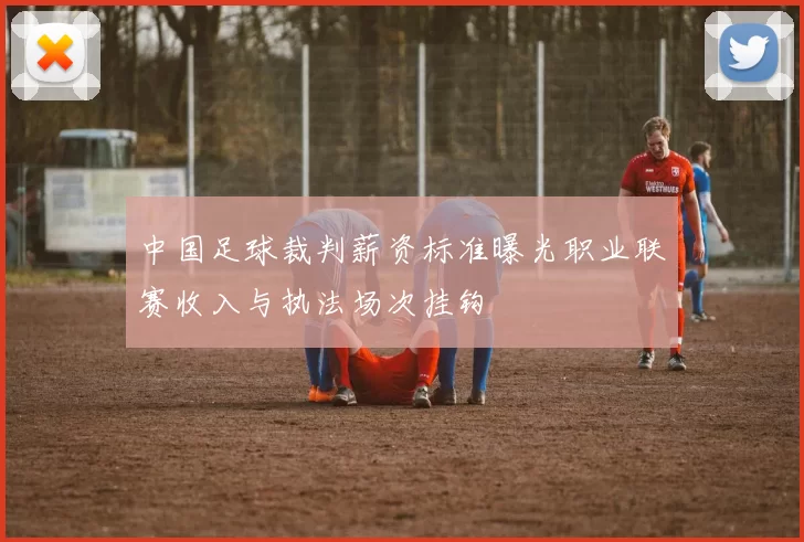 中国足球裁判薪资标准曝光职业联赛收入与执法场次挂钩
