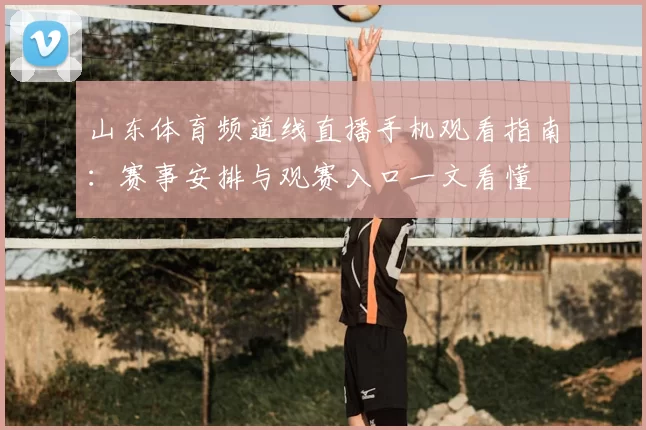 山东体育频道线直播手机观看指南：赛事安排与观赛入口一文看懂
