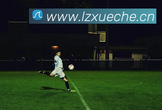 九游网官网登录入口平台生态图